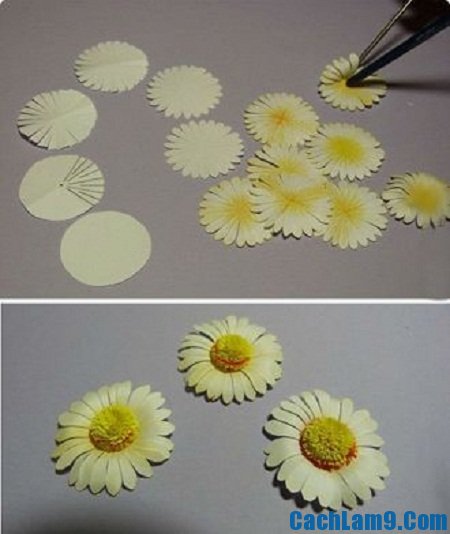Hướng dẫn cách làm hoa cúc bằng giấy