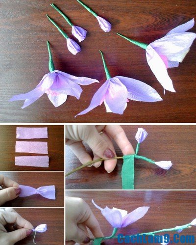 Hướng dẫn làm hoa phong lan giấy