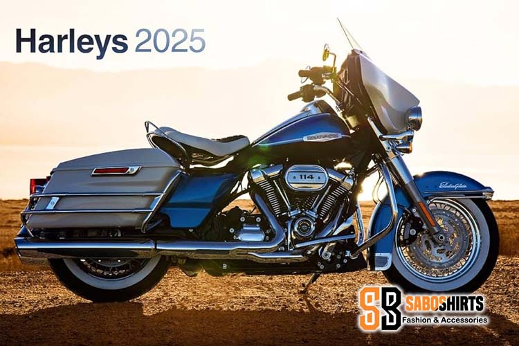 Harley Davidson motorcycle 2025 - Luxury Gifts for Dad Who Wants Nothing