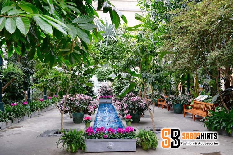 United States Botanic Garden - Beautiful places in Washington DC